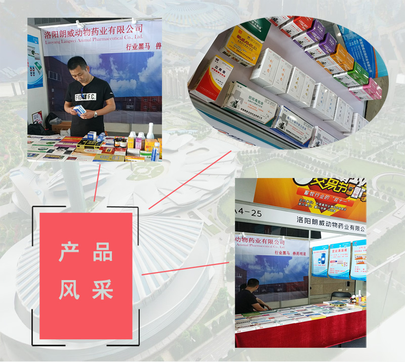 2024042250859187.jpg 洛陽朗威藥業(yè)2.jpg